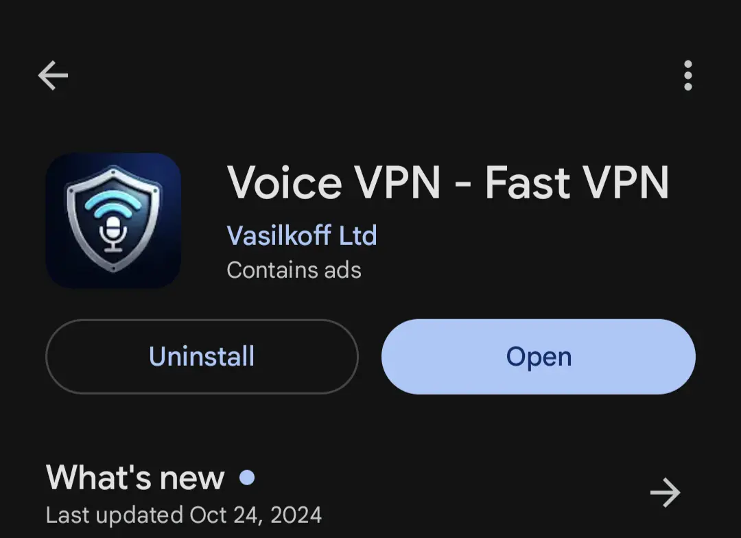 Voice VPN - Fast VPN. Vasilkoff Ltd in-house project