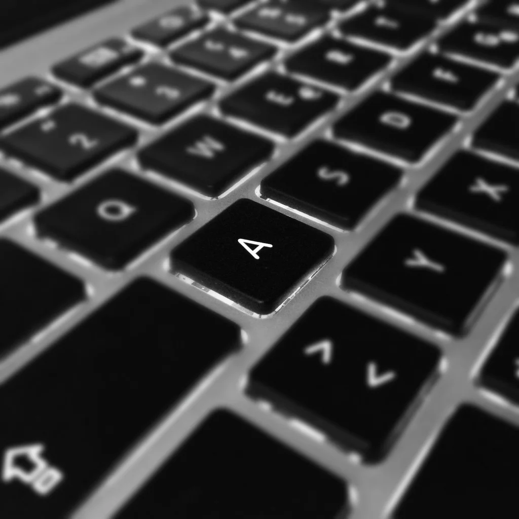 Security Audit & Malware Removal