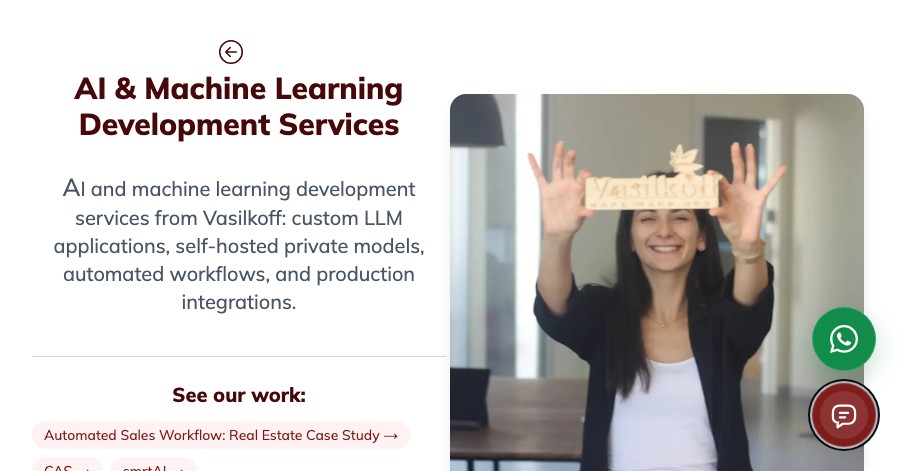 AI & Machine Learning Development Services | Vasilkoff